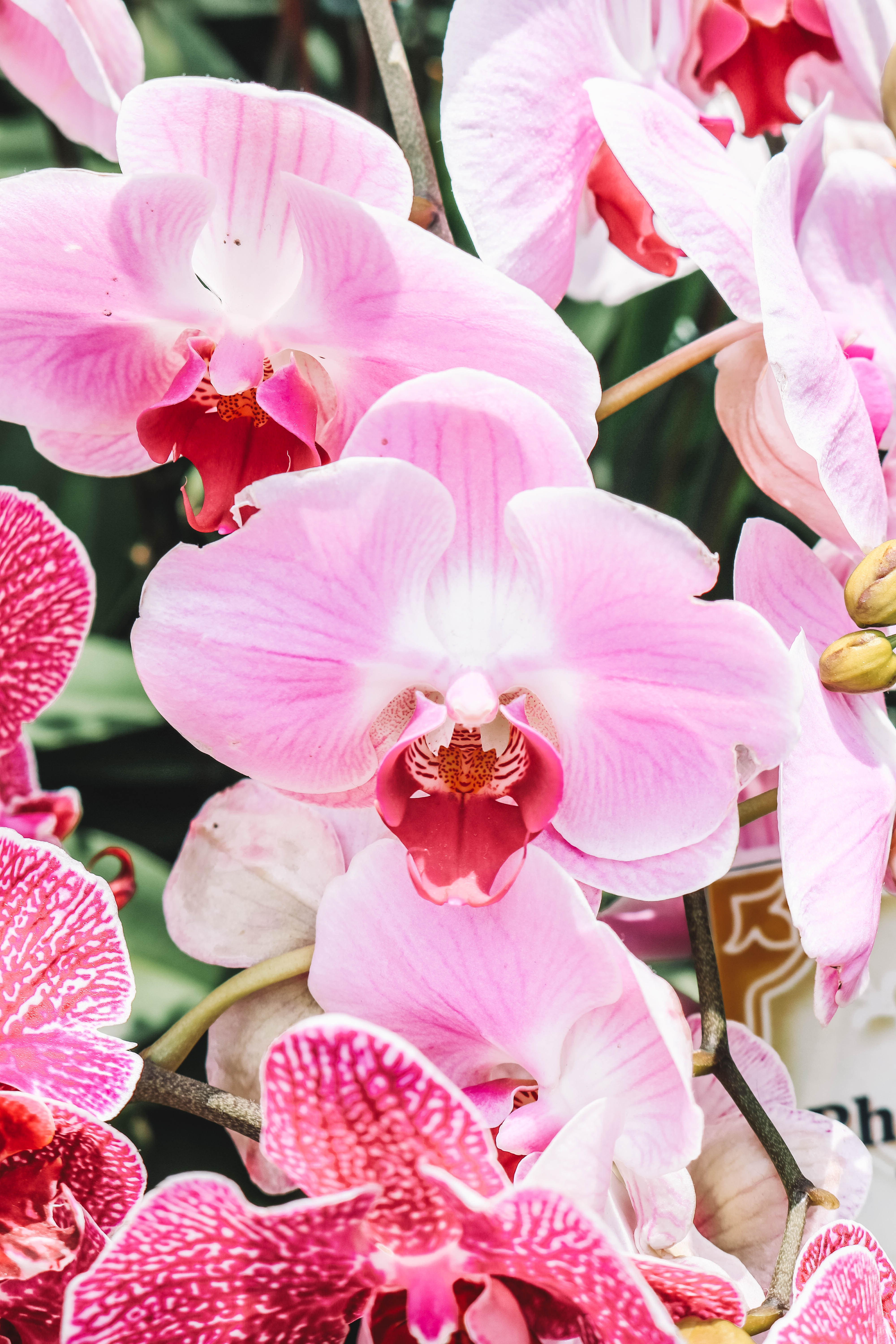 My Singapore Photo Itinerary - Codie Zofia