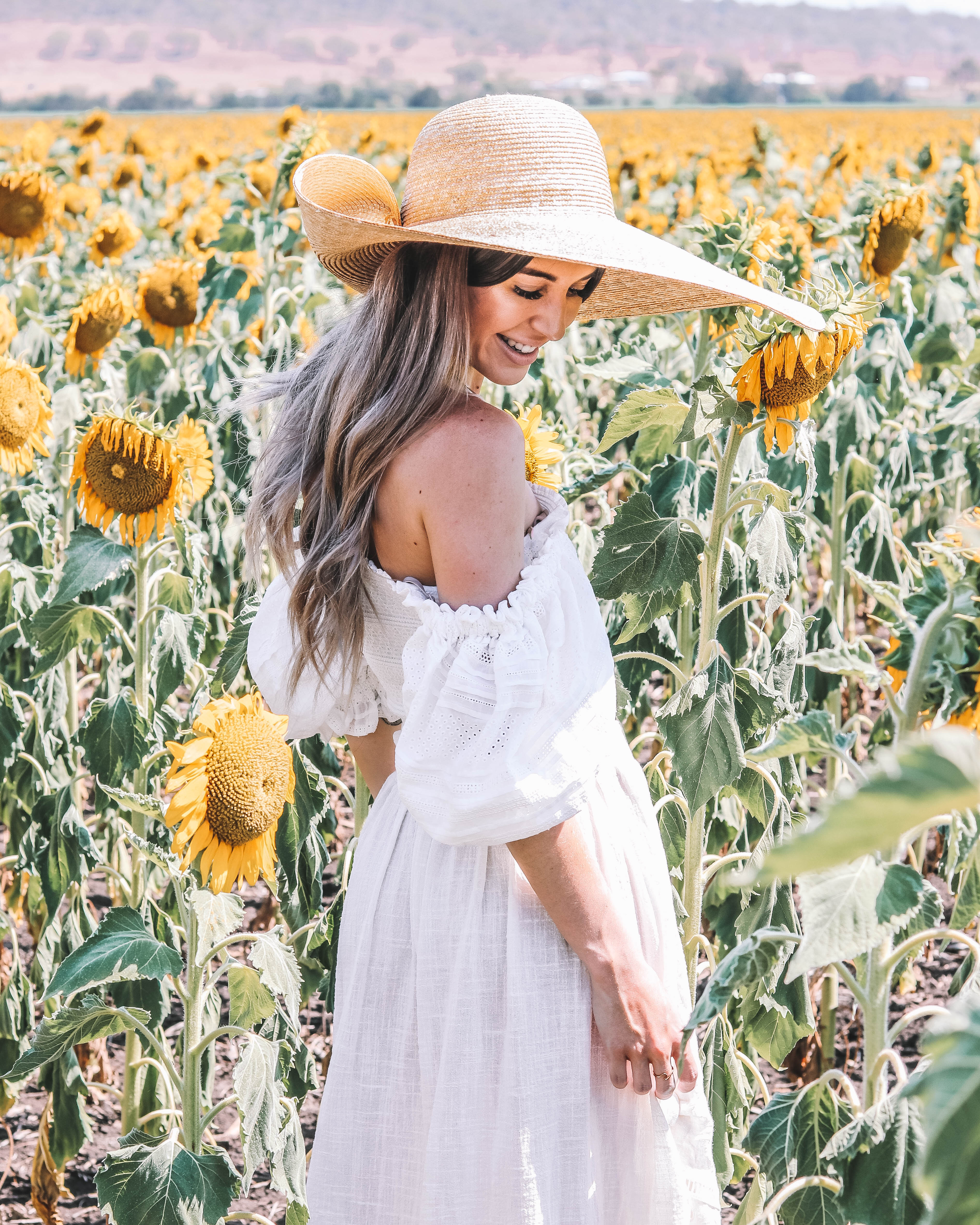 Sunflower Fields in Warwick - Codie Zofia