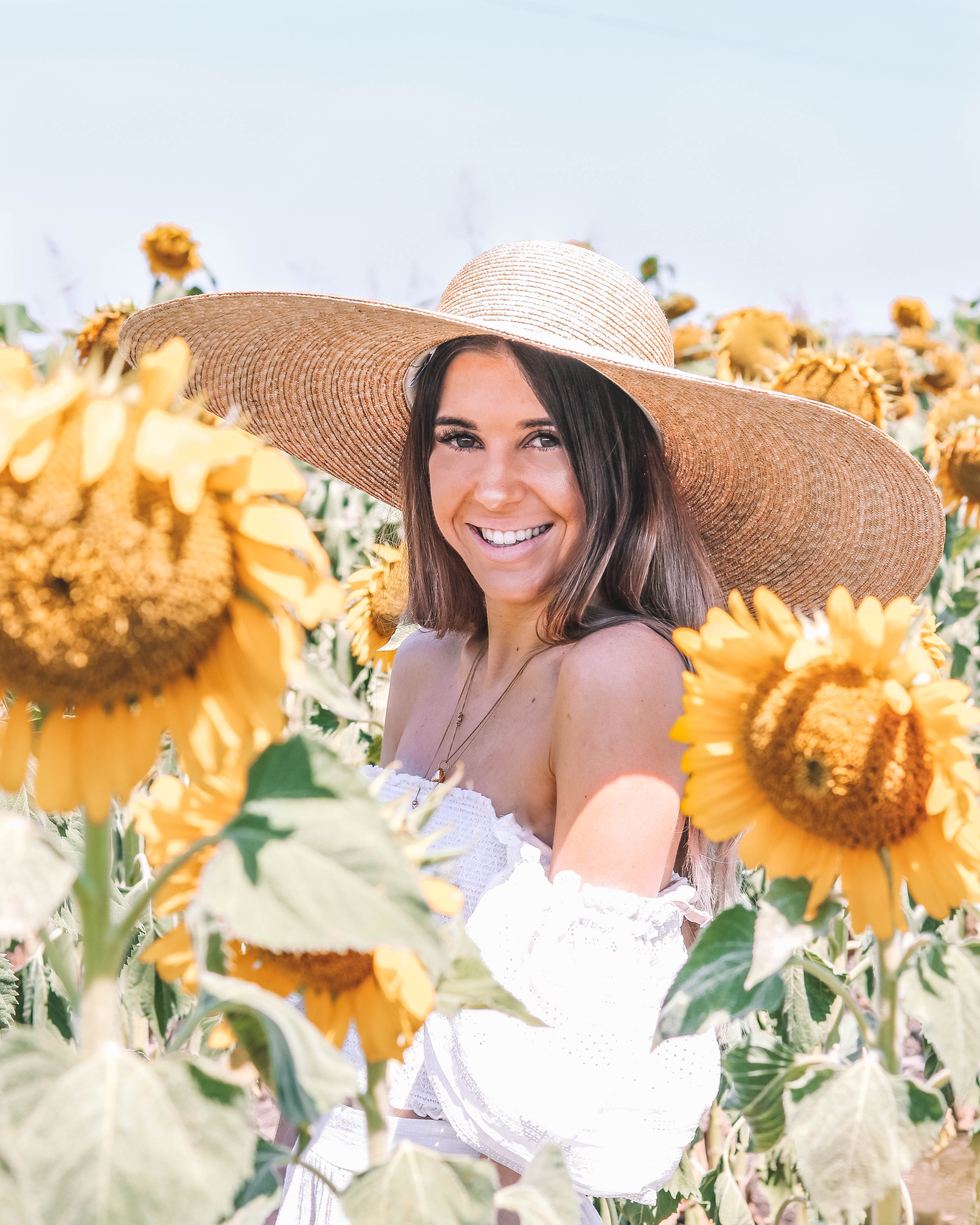 Sunflower Fields in Warwick - Codie Zofia