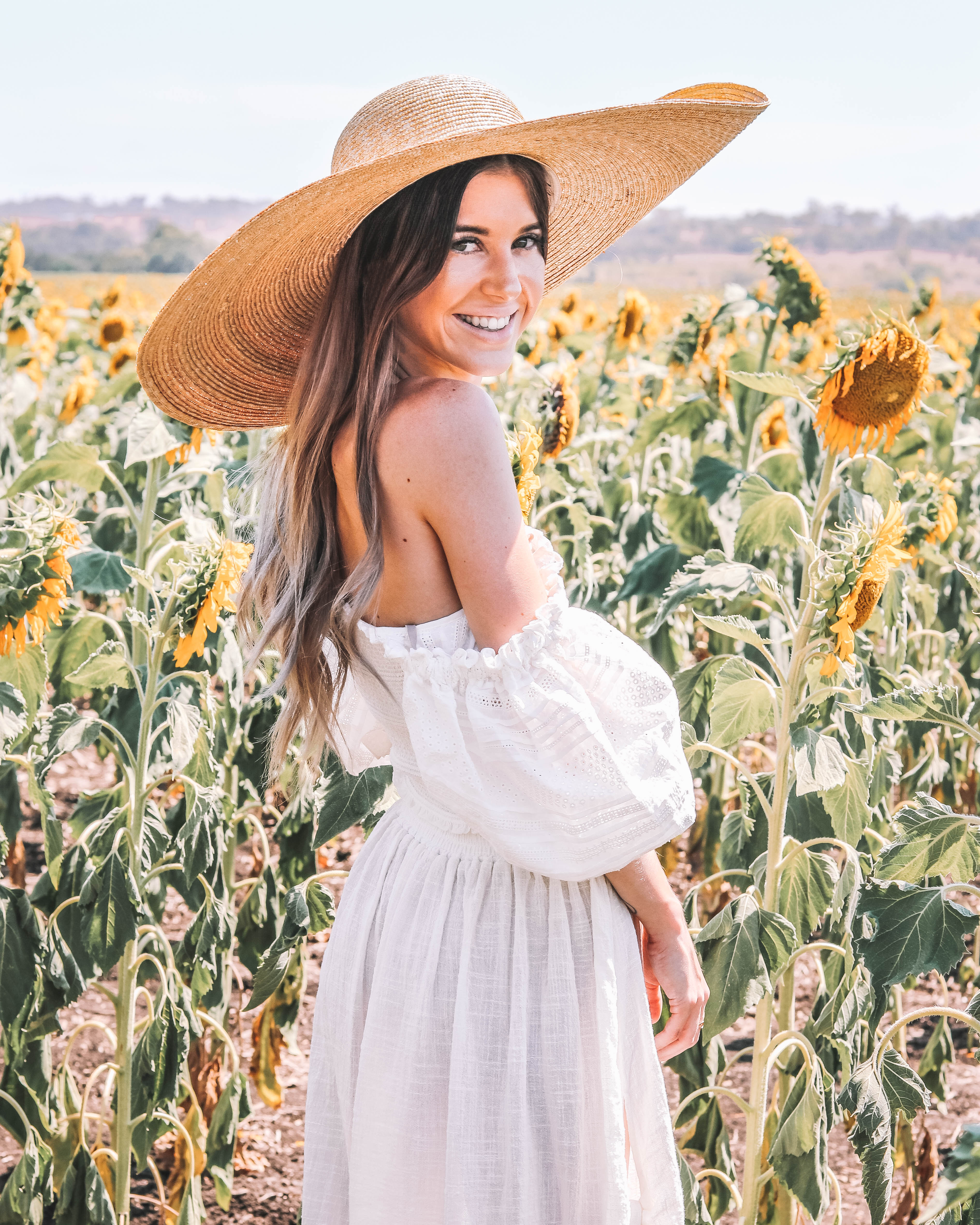 Sunflower Fields in Warwick - Codie Zofia