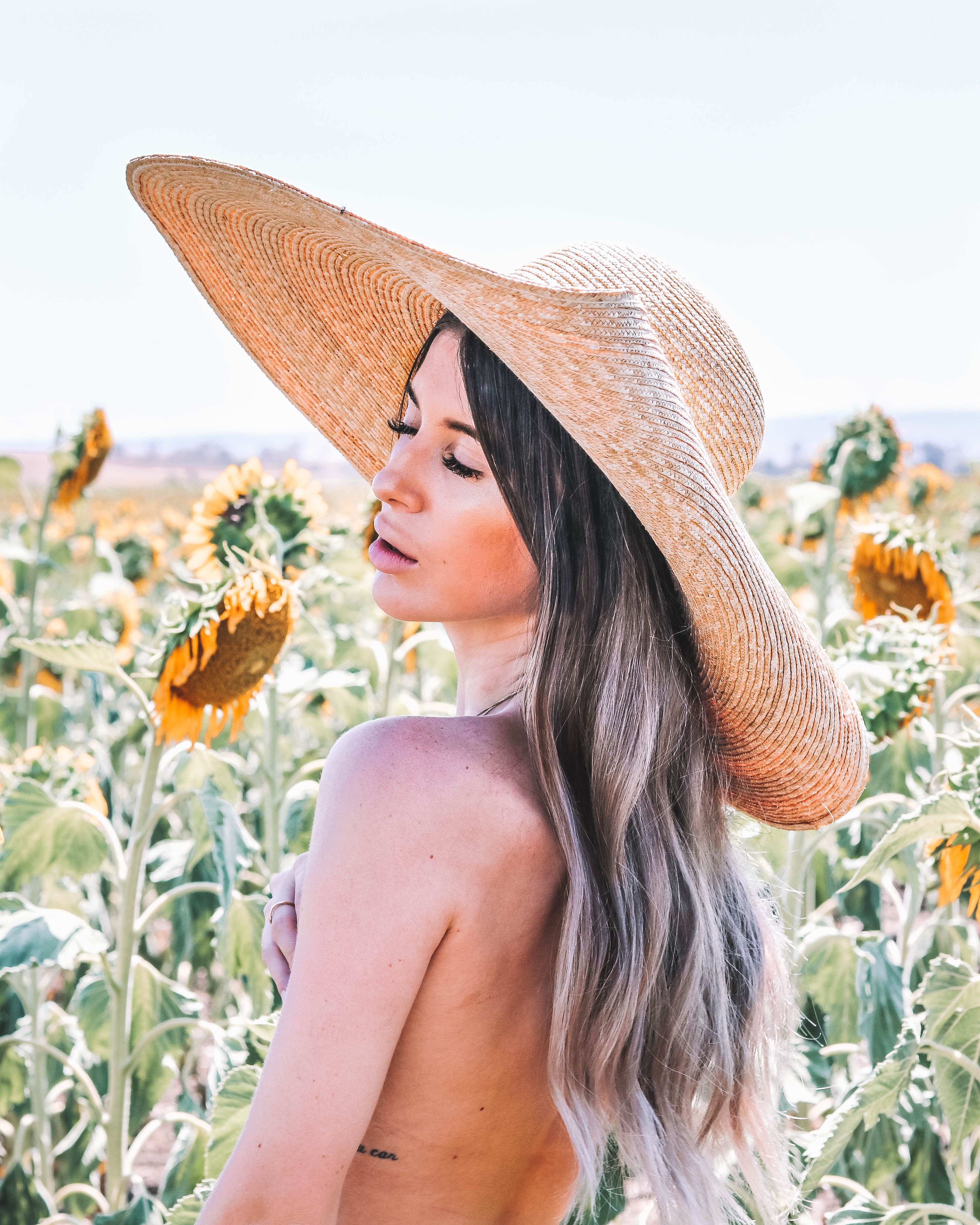 Sunflower Fields in Warwick - Codie Zofia